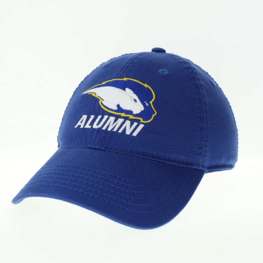 🆕 LEGACY HOFSTRA Royal Blue University Mascot Alumni Adjustable Hat Fan - Picture 4 of 4
